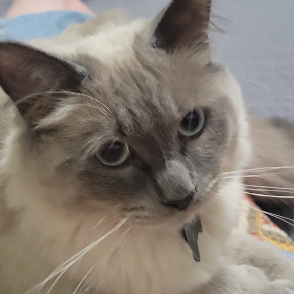 Meet your Posher, Debbie - Picture 11 of 16